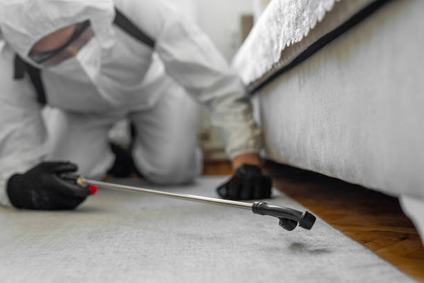 Professional Pest Control technician working in Tahoma, CA