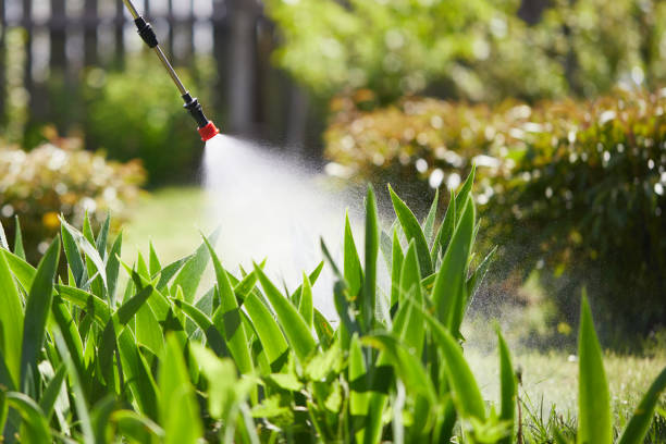 24/7 Emergency Cockroach Control experts in Tahoma, CA