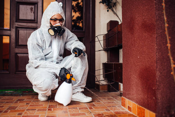 Reliable Cockroach Control contractor in Tahoma, CA by Nex Pest Control