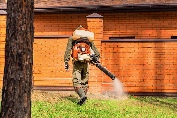 Trusted Fumigation Services service in Tahoma, CA - Nex Pest Control